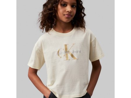 Calvin Klein Afterglow Glitter Monochram Boxy T-Shirt Sale