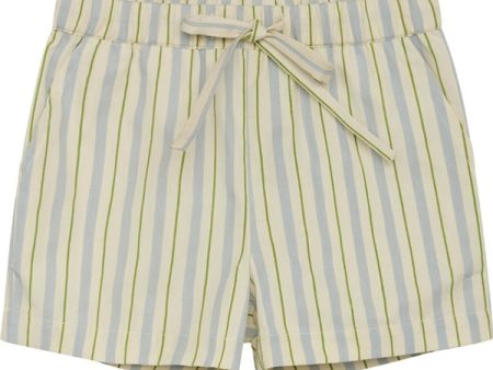 Flöss Bobby Shorts Blue Green Stripe Supply