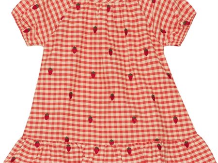 Flöss Molly Klänning Berry Gingham Discount